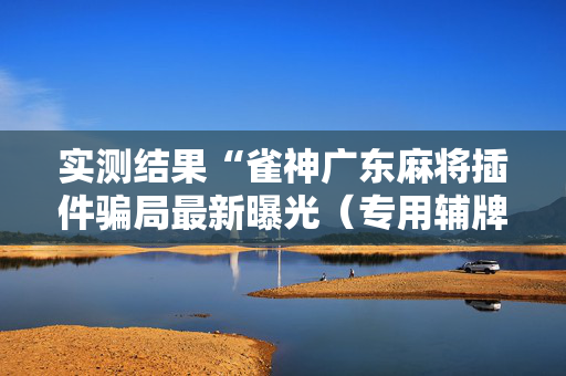 实测结果“雀神广东麻将插件骗局最新曝光（专用辅牌神器免安装）