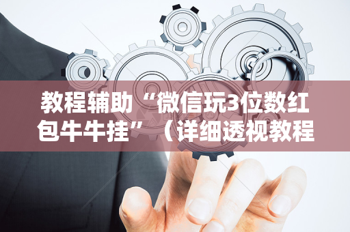 教程辅助“微信玩3位数红包牛牛挂”（详细透视教程）-哔哩哔哩