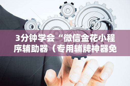 3分钟学会“微信金花小程序辅助器（专用辅牌神器免安装）