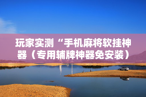 玩家实测“手机麻将软挂神器（专用辅牌神器免安装）