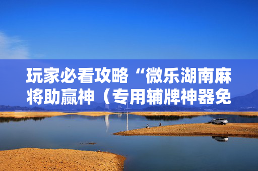 玩家必看攻略“微乐湖南麻将助赢神（专用辅牌神器免安装）