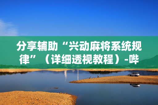 分享辅助“兴动麻将系统规律”（详细透视教程）-哔哩哔哩