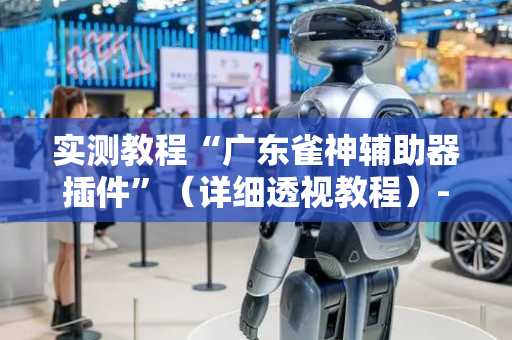 实测教程“广东雀神辅助器插件”（详细透视教程）-哔哩哔哩