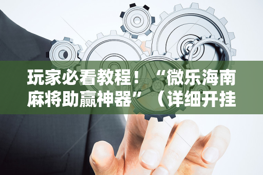 玩家必看教程！“微乐海南麻将助赢神器”（详细开挂教程）-哔哩哔哩