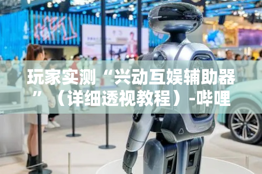玩家实测“兴动互娱辅助器”（详细透视教程）-哔哩哔哩