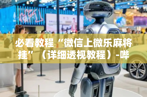 必看教程“微信上微乐麻将挂”（详细透视教程）-哔哩哔哩