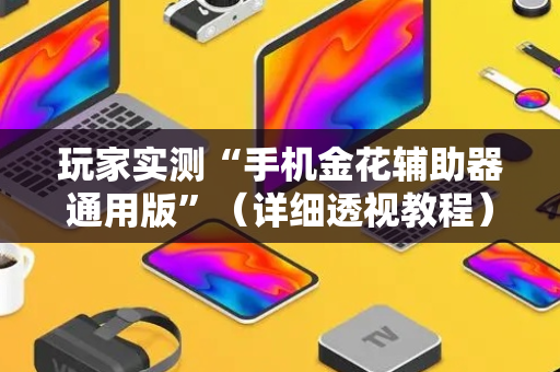 玩家实测“手机金花辅助器通用版”（详细透视教程）-哔哩哔哩