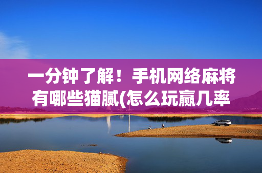 一分钟了解！手机网络麻将有哪些猫腻(怎么玩赢几率大)