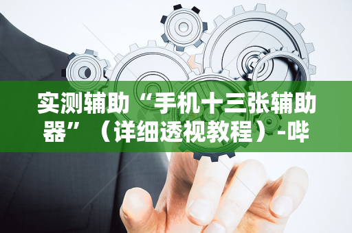 实测辅助“手机十三张辅助器”（详细透视教程）-哔哩哔哩