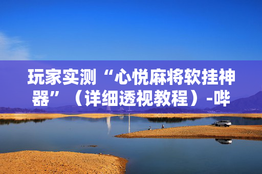 玩家实测“心悦麻将软挂神器”（详细透视教程）-哔哩哔哩