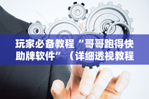 玩家必备教程“哥哥跑得快助牌软件”（详细透视教程）-哔哩哔哩