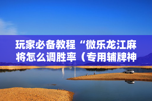 玩家必备教程“微乐龙江麻将怎么调胜率（专用辅牌神器免安装）
