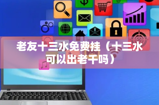 老友十三水免费挂（十三水可以出老千吗）