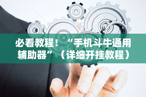 必看教程！“手机斗牛通用辅助器”（详细开挂教程）-哔哩哔哩