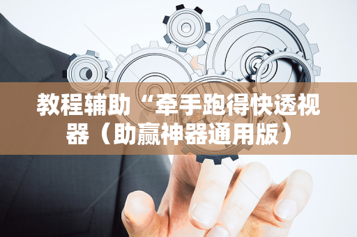 教程辅助“牵手跑得快透视器（助赢神器通用版）