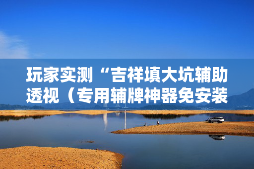 玩家实测“吉祥填大坑辅助透视（专用辅牌神器免安装）