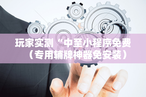 玩家实测“中至小程序免费（专用辅牌神器免安装）
