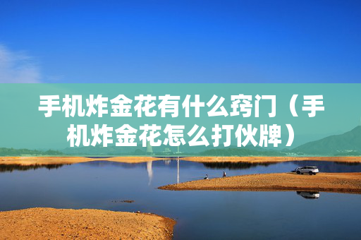 手机炸金花有什么窍门（手机炸金花怎么打伙牌）