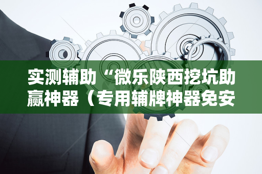 实测辅助“微乐陕西挖坑助赢神器（专用辅牌神器免安装）