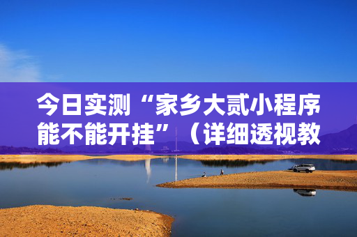 今日实测“家乡大贰小程序能不能开挂”（详细透视教程）-哔哩哔哩