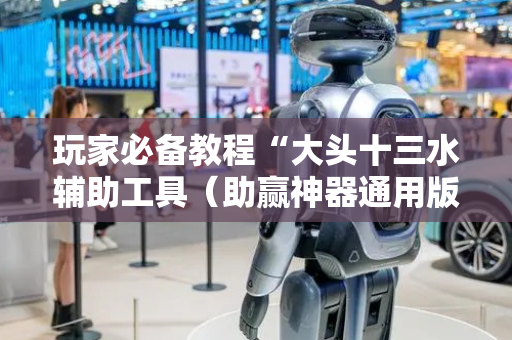 玩家必备教程“大头十三水辅助工具（助赢神器通用版）