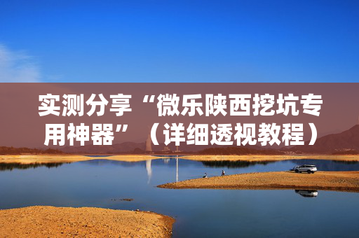 实测分享“微乐陕西挖坑专用神器”（详细透视教程）-哔哩哔哩