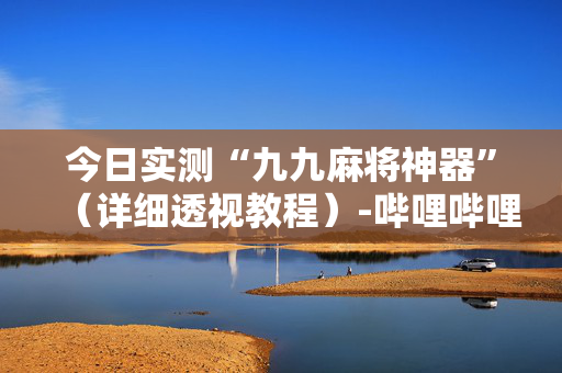 今日实测“九九麻将神器”（详细透视教程）-哔哩哔哩