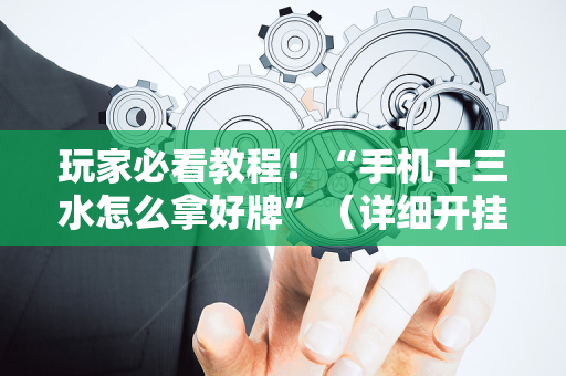 玩家必看教程！“手机十三水怎么拿好牌”（详细开挂教程）-哔哩哔哩