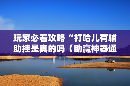 玩家必看攻略“打哈儿有辅助挂是真的吗（助赢神器通用版）
