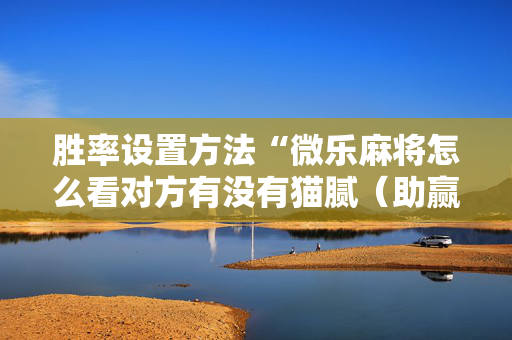 胜率设置方法“微乐麻将怎么看对方有没有猫腻（助赢神器通用版）