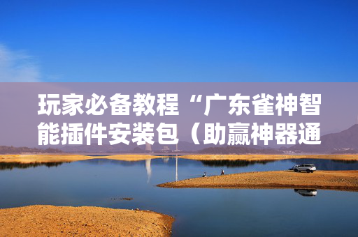 玩家必备教程“广东雀神智能插件安装包（助赢神器通用版）