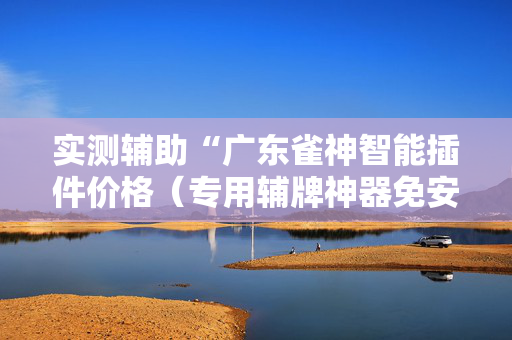 实测辅助“广东雀神智能插件价格（专用辅牌神器免安装）