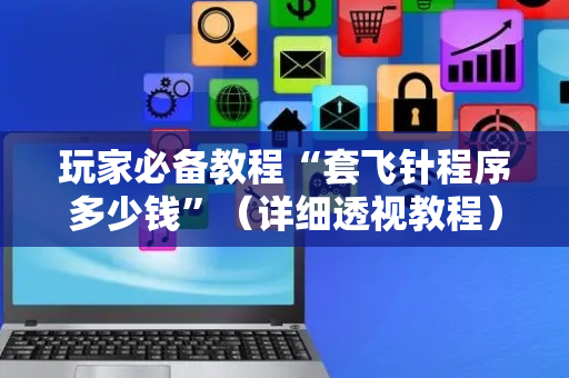 玩家必备教程“套飞针程序多少钱”（详细透视教程）-哔哩哔哩