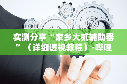 实测分享“家乡大贰辅助器”（详细透视教程）-哔哩哔哩