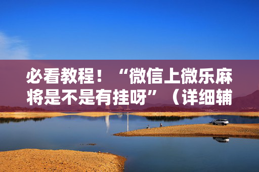 必看教程！“微信上微乐麻将是不是有挂呀”（详细辅助教程）-哔哩哔哩