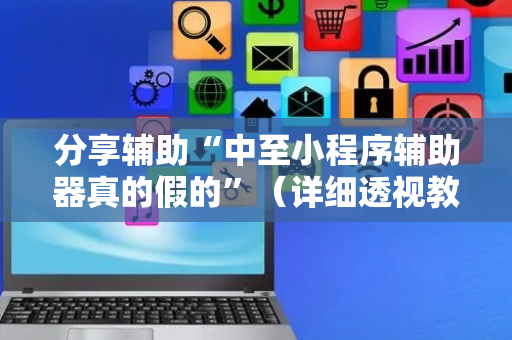 分享辅助“中至小程序辅助器真的假的”（详细透视教程）-哔哩哔哩