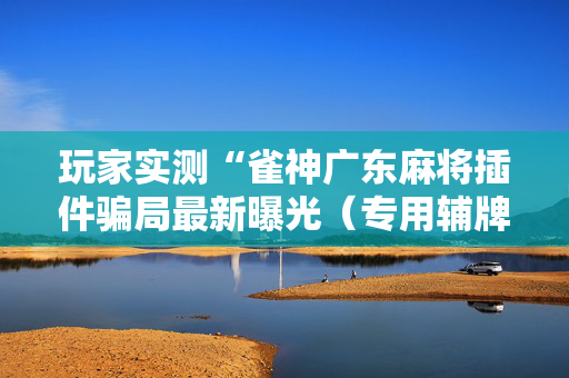 玩家实测“雀神广东麻将插件骗局最新曝光（专用辅牌神器免安装）