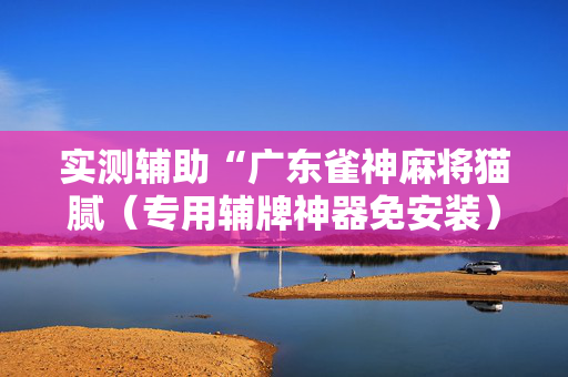 实测辅助“广东雀神麻将猫腻（专用辅牌神器免安装）