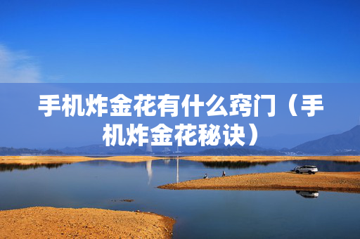 手机炸金花有什么窍门（手机炸金花秘诀）