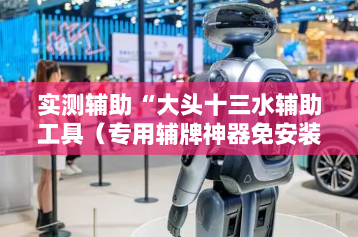 实测辅助“大头十三水辅助工具（专用辅牌神器免安装）