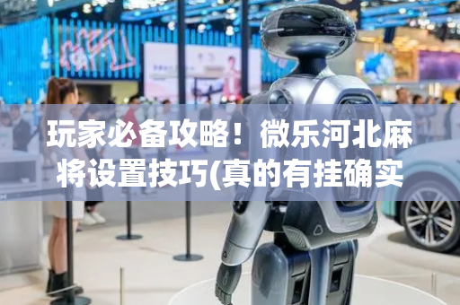 玩家必备攻略！微乐河北麻将设置技巧(真的有挂确实有挂)