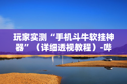 玩家实测“手机斗牛软挂神器”（详细透视教程）-哔哩哔哩