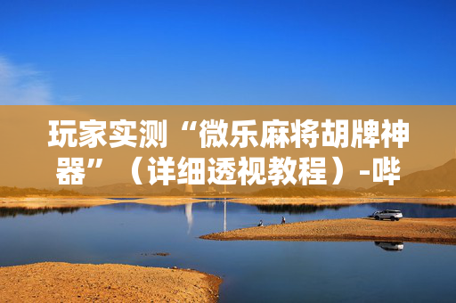 玩家实测“微乐麻将胡牌神器”（详细透视教程）-哔哩哔哩