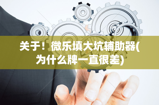 关于！微乐填大坑辅助器(为什么牌一直很差)