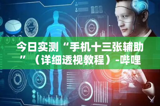 今日实测“手机十三张辅助”（详细透视教程）-哔哩哔哩