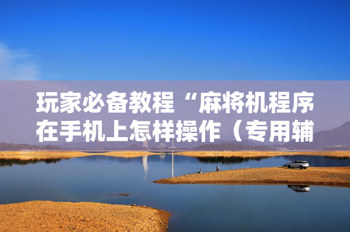玩家必备教程“麻将机程序在手机上怎样操作（专用辅牌神器免安装）