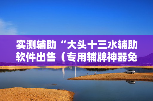 实测辅助“大头十三水辅助软件出售（专用辅牌神器免安装）