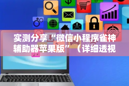 实测分享“微信小程序雀神辅助器苹果版”（详细透视教程）-哔哩哔哩