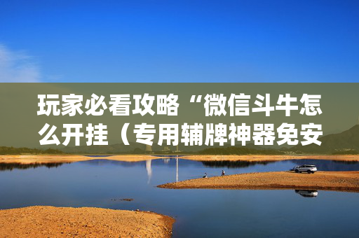 玩家必看攻略“微信斗牛怎么开挂（专用辅牌神器免安装）