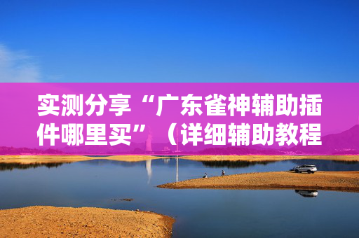 实测分享“广东雀神辅助插件哪里买”（详细辅助教程）-哔哩哔哩